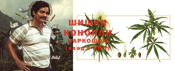 СК Алзамай